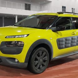 CITROEN C4 CACTUS 1.6 BLUEHDI 100 FLAIR Hatchback